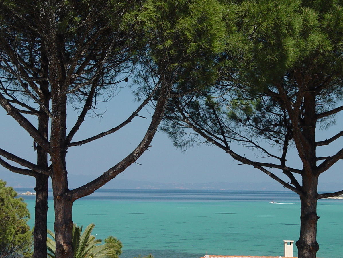 Elena Apartments Nikiti  Chambre photo